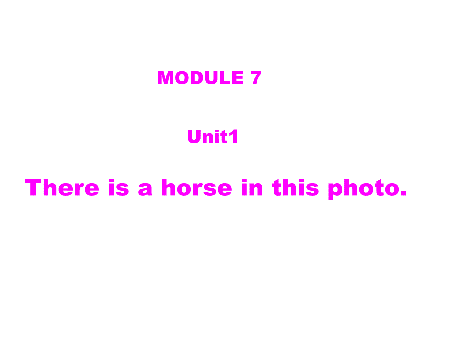四年级上英语课件-Module 7 Unit 1 There is a horse in this photo 1_外研社（三起）_第1页