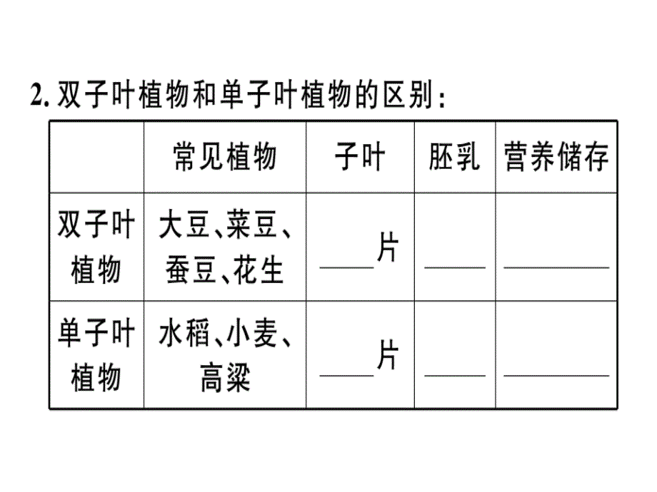 2018年秋北师大版七年级生物上册同步课件：期末复习第6章 绿色开花植物的生活史_第3页