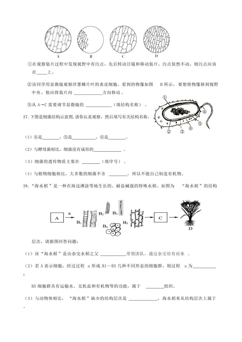 江苏省扬州市江都区2020-2021学年七年级下学期期末生物试题（word版 含答案）_第5页