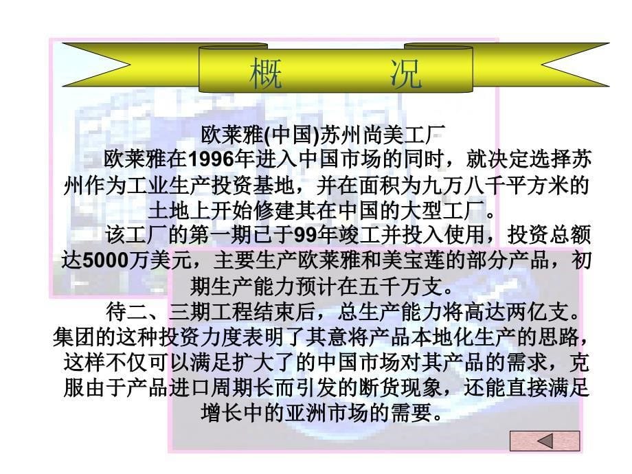 [精选]化妆品行业案例分析_第5页