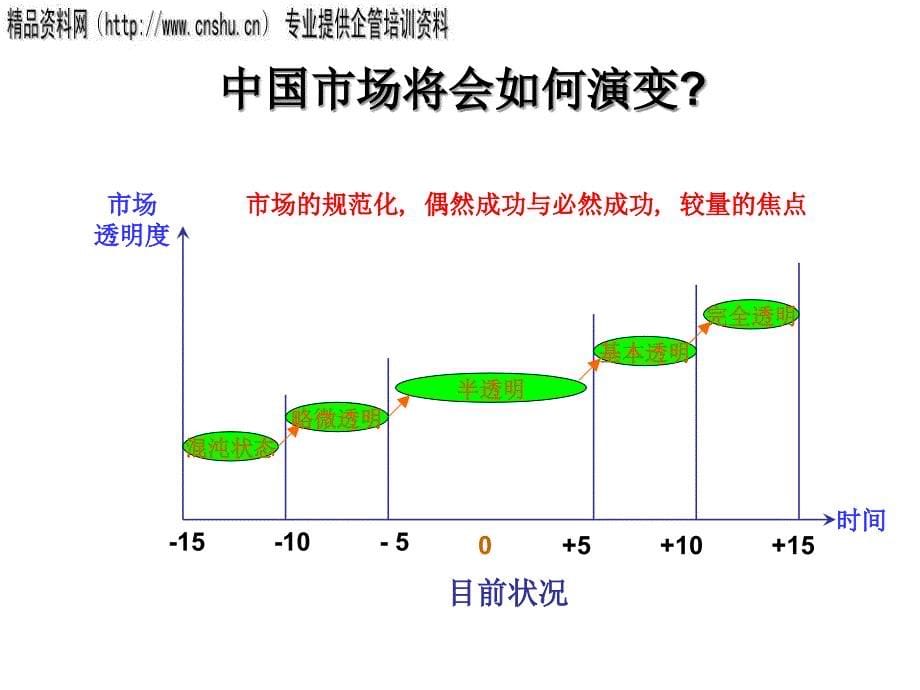 [精选]市场营销战略及竞争优势的建立_第5页