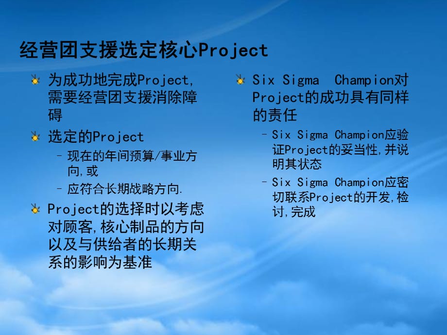 [精选]公司事业部PROJECT选定方法_第4页