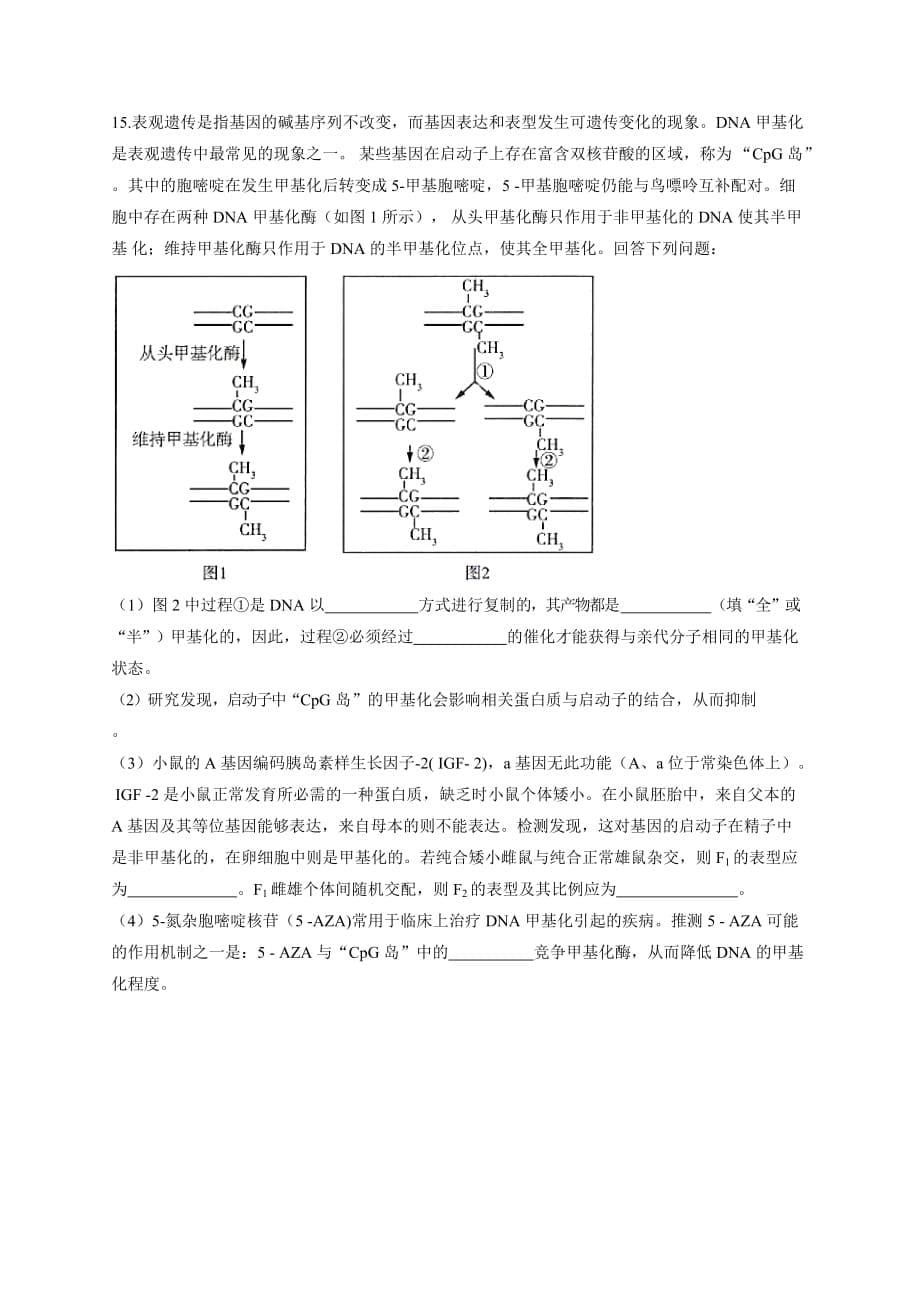 暑假作业（3）遗传的分子基础（2）-高一生物下学期人教版_第5页