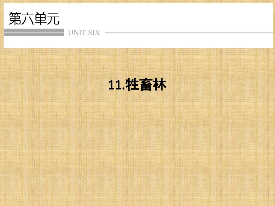 2018版高中语文人教版外国小说欣赏课件：第六单元 第11课 牲畜林_第1页