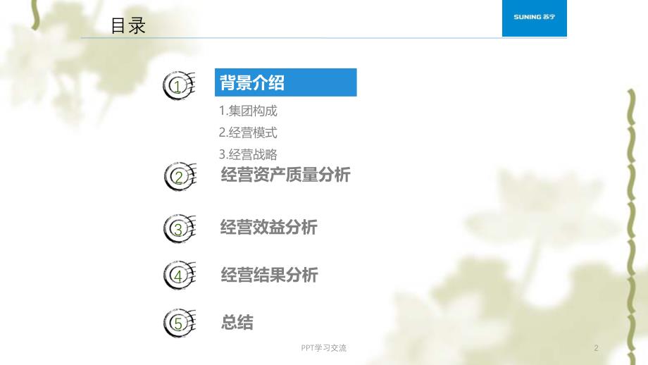 案例：苏宁电器财务报表分析案例ppt课件_第2页