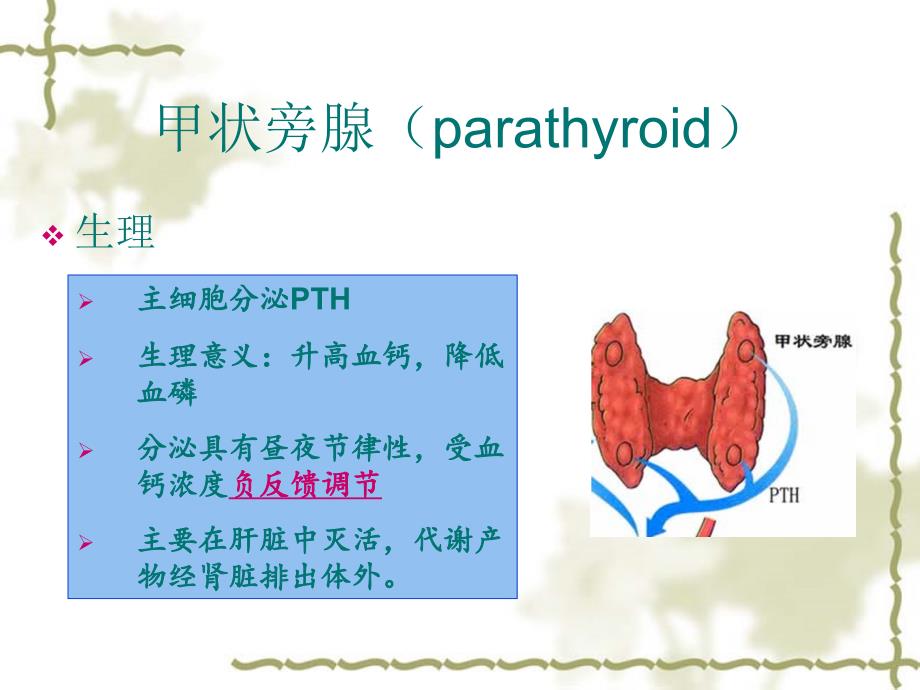 PPT教学课件：甲状旁腺功能减退的临床处理_第3页