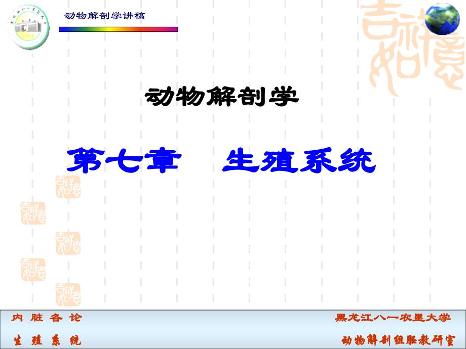 动物解剖学讲稿PPT课件 第七章 生殖系统_第1页