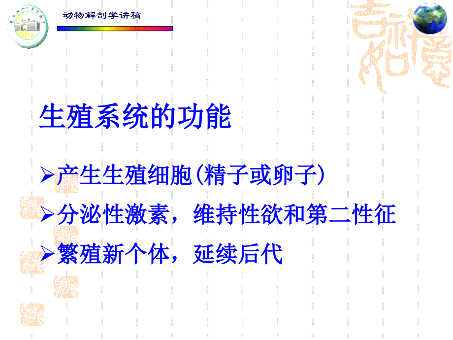 动物解剖学讲稿PPT课件 第七章 生殖系统_第2页