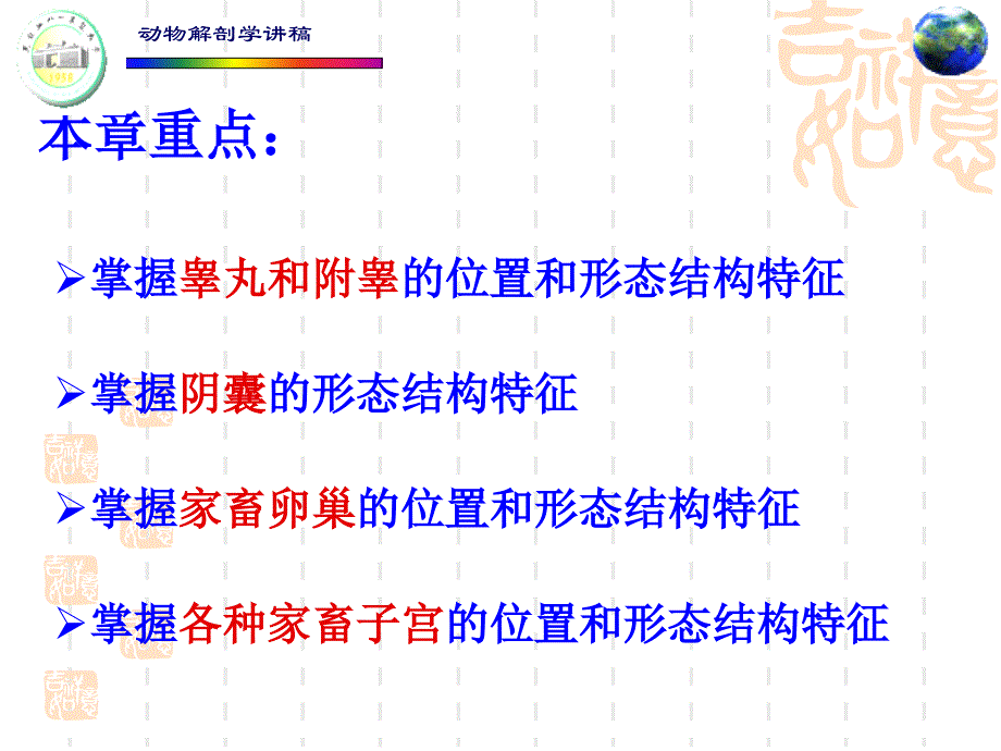 动物解剖学讲稿PPT课件 第七章 生殖系统_第3页