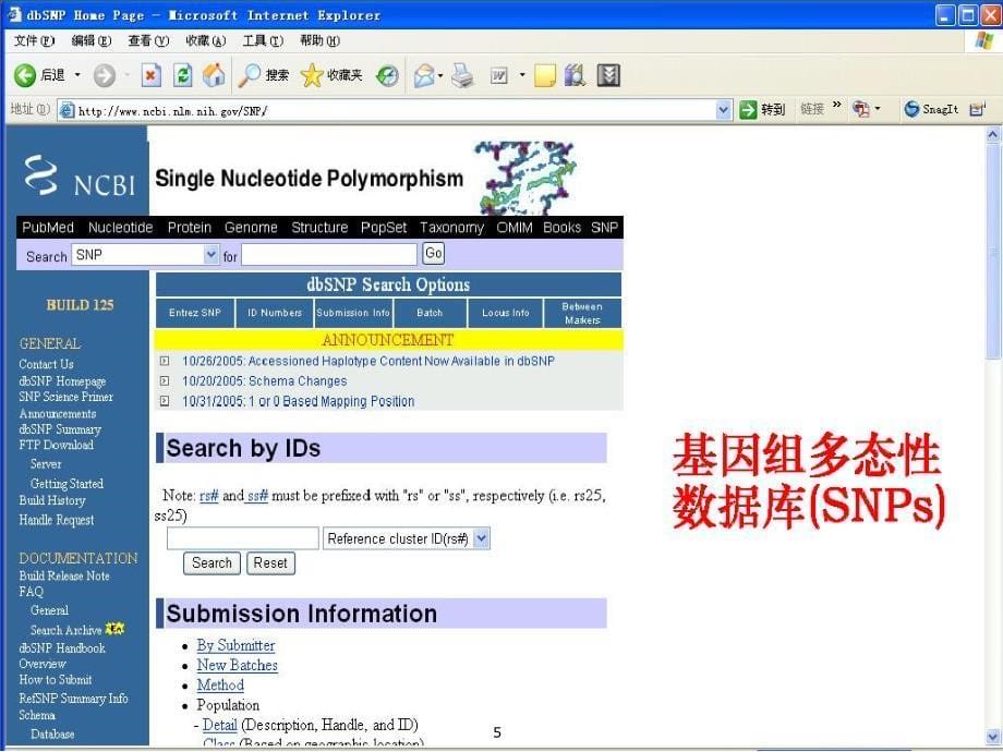 SNP分型技术[专业材料]_第5页