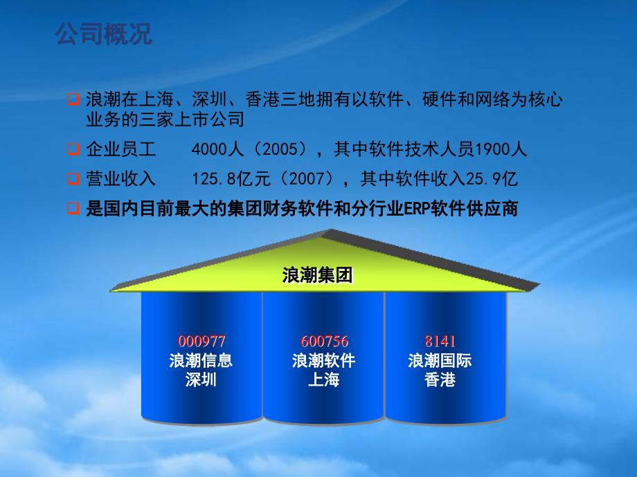 [精选]某医药团集财务管理信息化项目总体流程_第4页