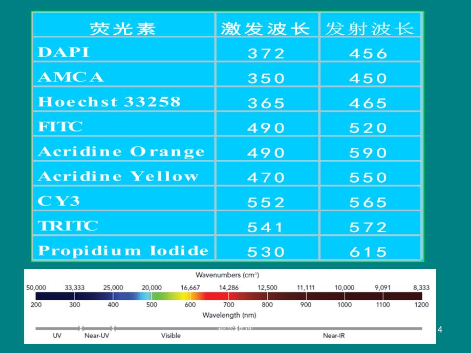 荧光显微镜的基本使用方法[专业知识]_第4页