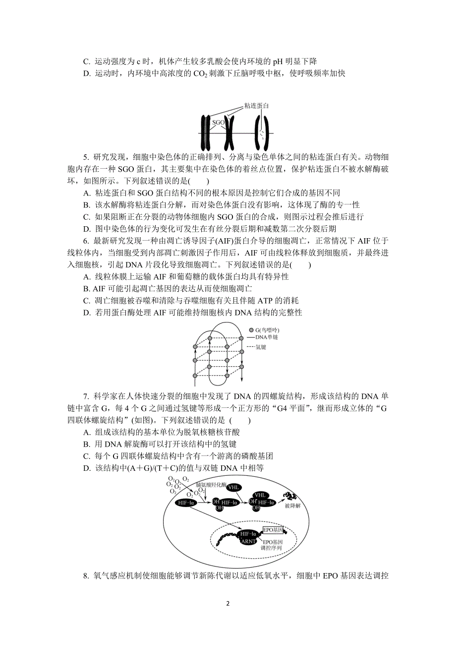 江苏省南京师范大学附属中学2021届高三下学期5月模拟考试生物_第2页