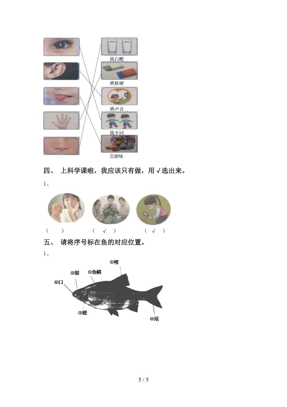 一年级科学(上册)第一次月考试卷（）_第5页