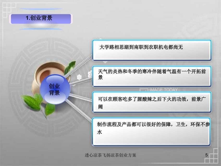 透心凉茶飞扬凉茶创业方案课件_第5页
