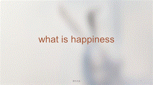 what is happiness 精美全英ppt【行业内容】
