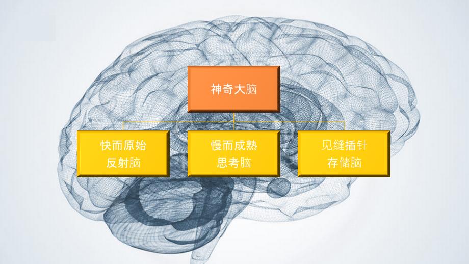 慢思考—大脑超载时代的思考学读书笔记课件_第4页