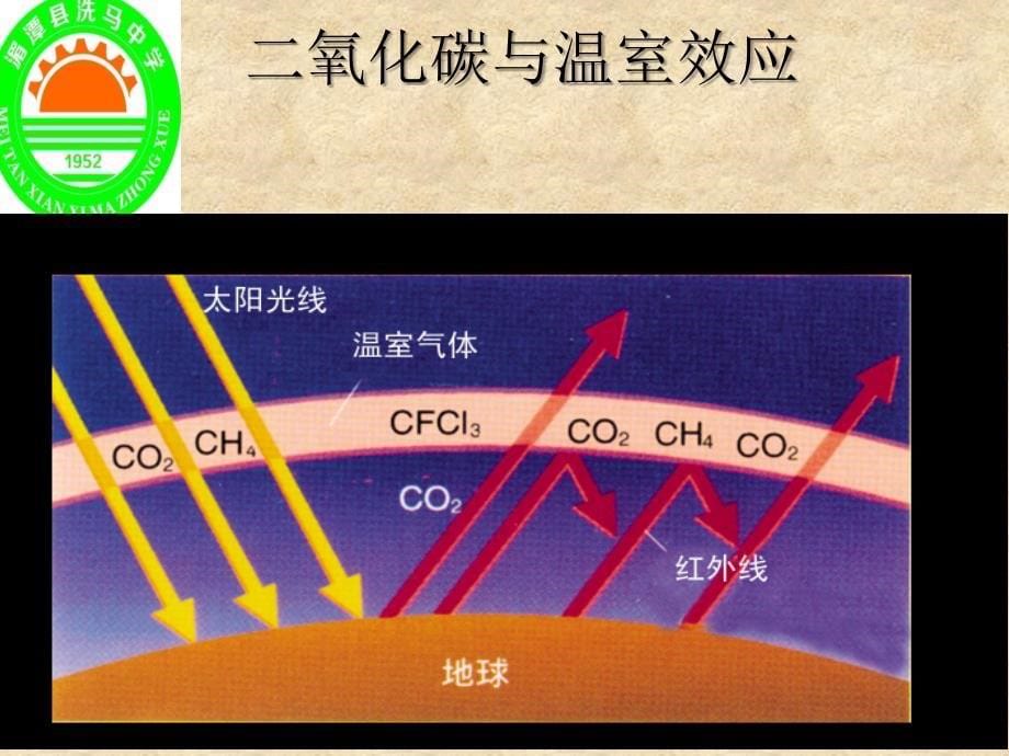 沪教版九年级化学全册（全国版）2.2《奇妙的二氧化碳》课件(共36张PPT)_第5页