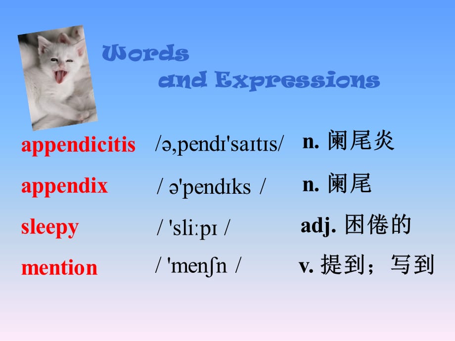 冀教版九年级英语全册课件：Unit1 Lesson 6 Stay away from the hospital (共26张PPT)_第4页