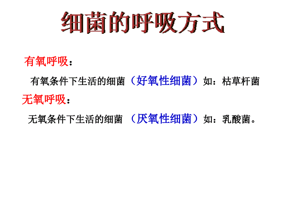 八年级》苏教版八年级上册）第5单元 生物的多样性第十四章 丰富多彩的生物世界》第三节 神奇的微生物 (共26张PPT)_第3页