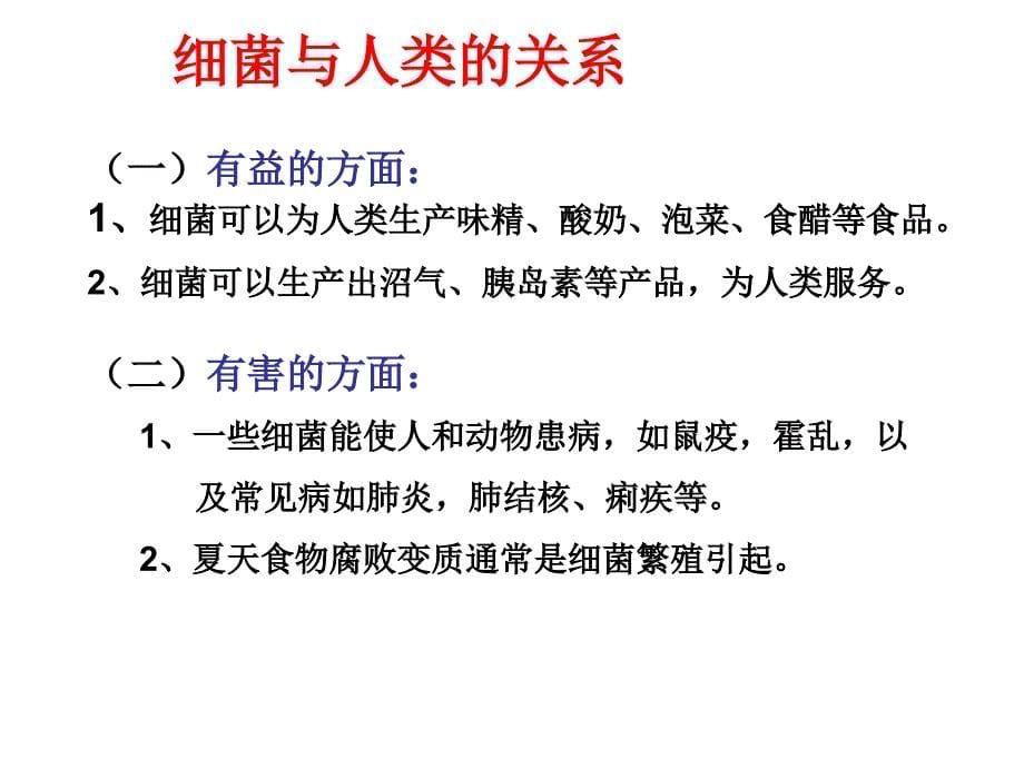 八年级》苏教版八年级上册）第5单元 生物的多样性第十四章 丰富多彩的生物世界》第三节 神奇的微生物 (共26张PPT)_第5页