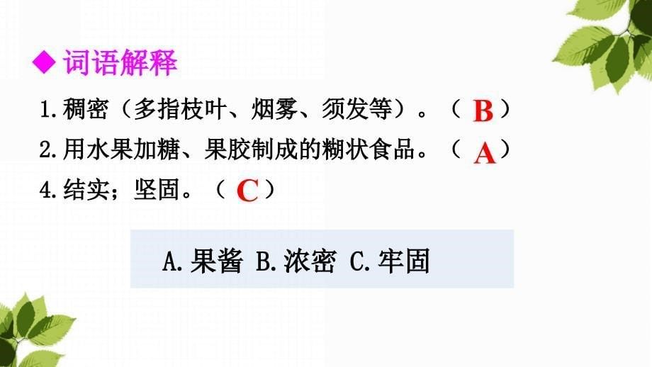 3年级上册语文课件-13 胡萝卜先生的长胡子_第5页