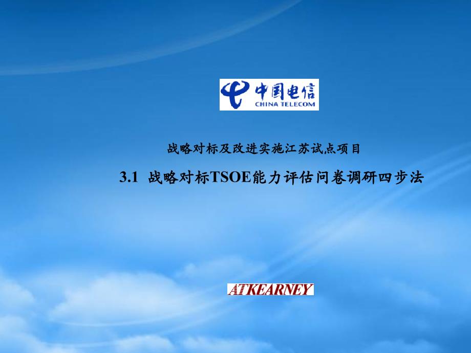 [精选]中国电信战略对标及改进实施江苏试点项目_第3页