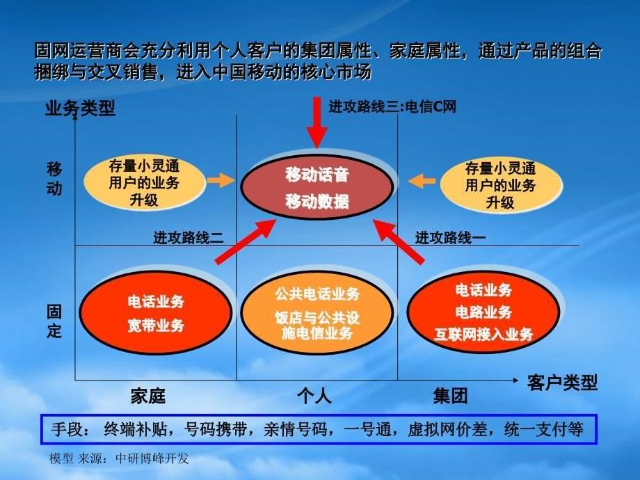 [精选]中国移动全业务运营管理策略_第5页