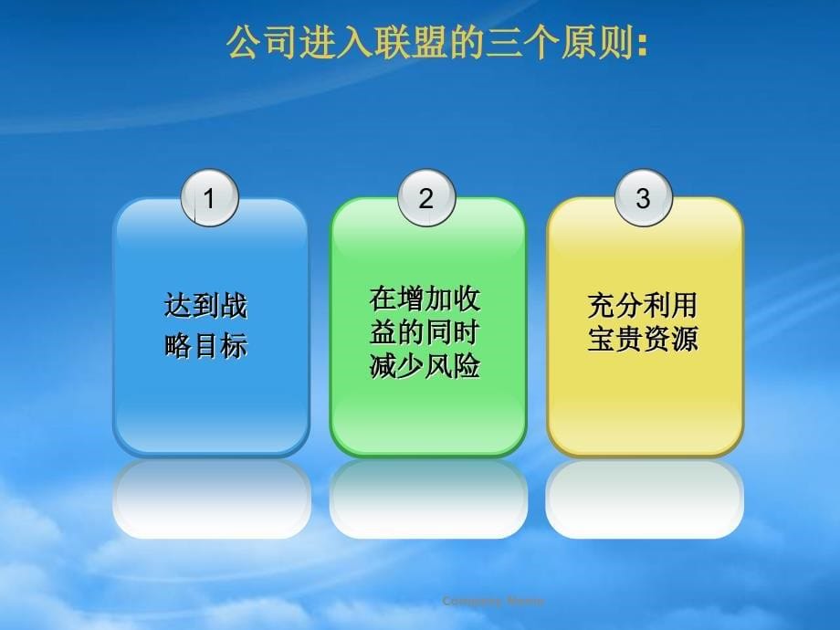 [精选]中国企业战略联盟讲义_第5页