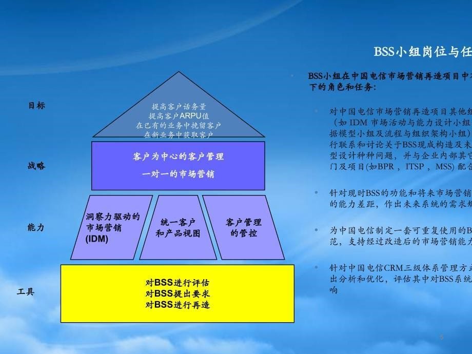 [精选]中国电信市场营销再造项目-BSS小组介绍(1)_第5页