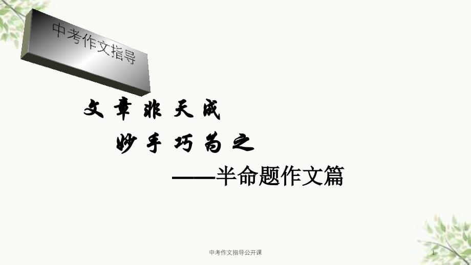 中考作文指导公开课课件_第1页