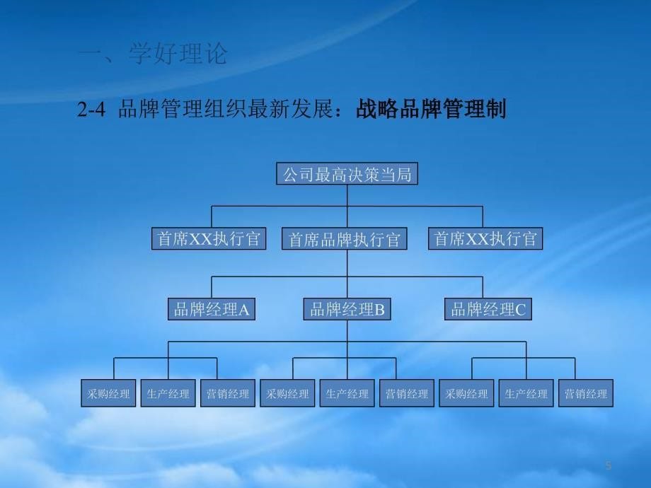 [精选]强势品牌战略的理念与实务(PPT 32)_第5页