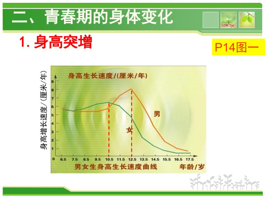 初中七年级生物下册课件：第一章第三节 青春期 (共25张PPT)_第4页