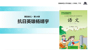 六年级下册语文课件-16抗日英雄杨靖宇∣西师大版 (共14张PPT)