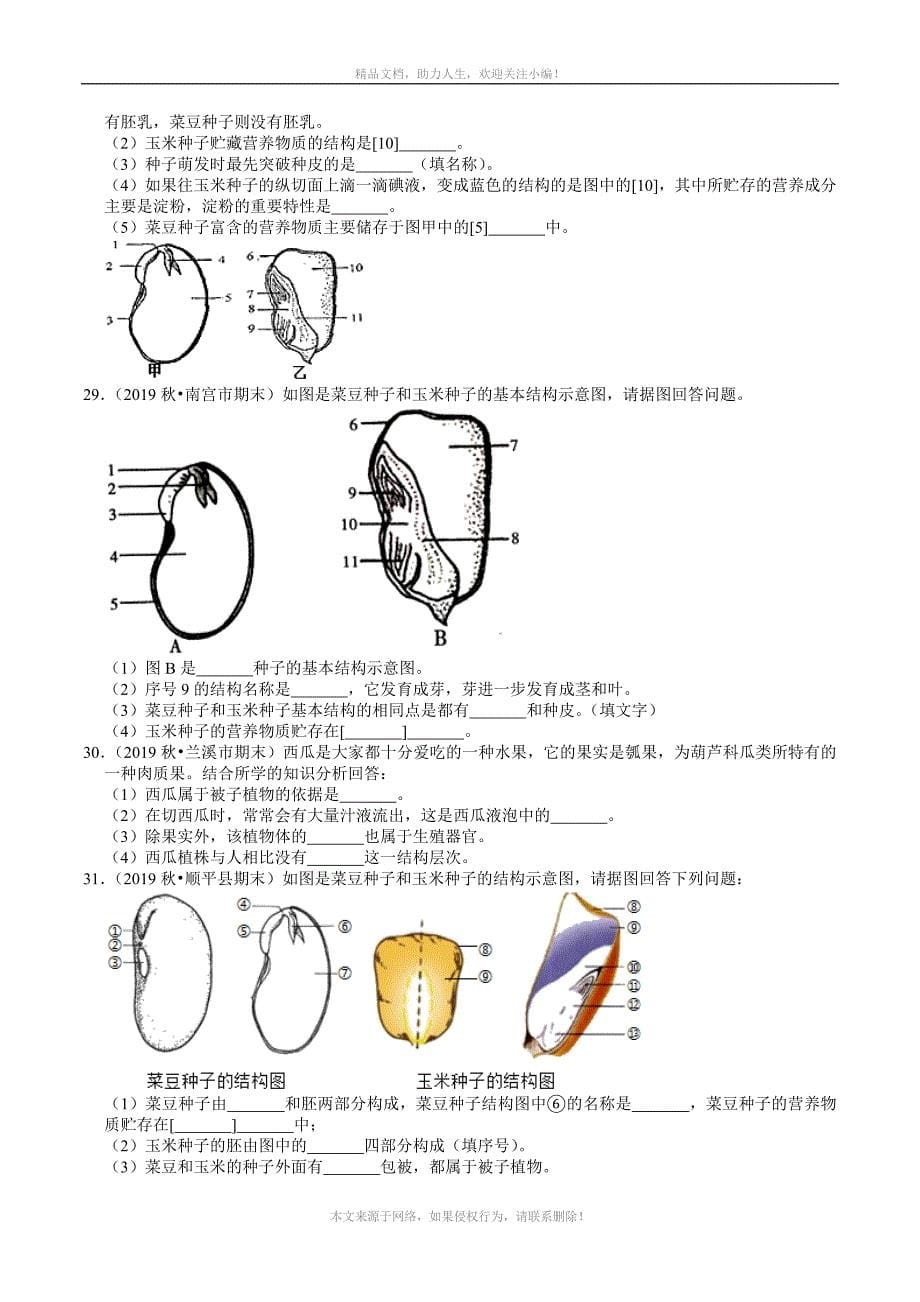 2020—2021学年人教版七年级上册生物期末专题复习：3-1《生物圈中有哪些绿色植物》试题精选（含解析）_第5页