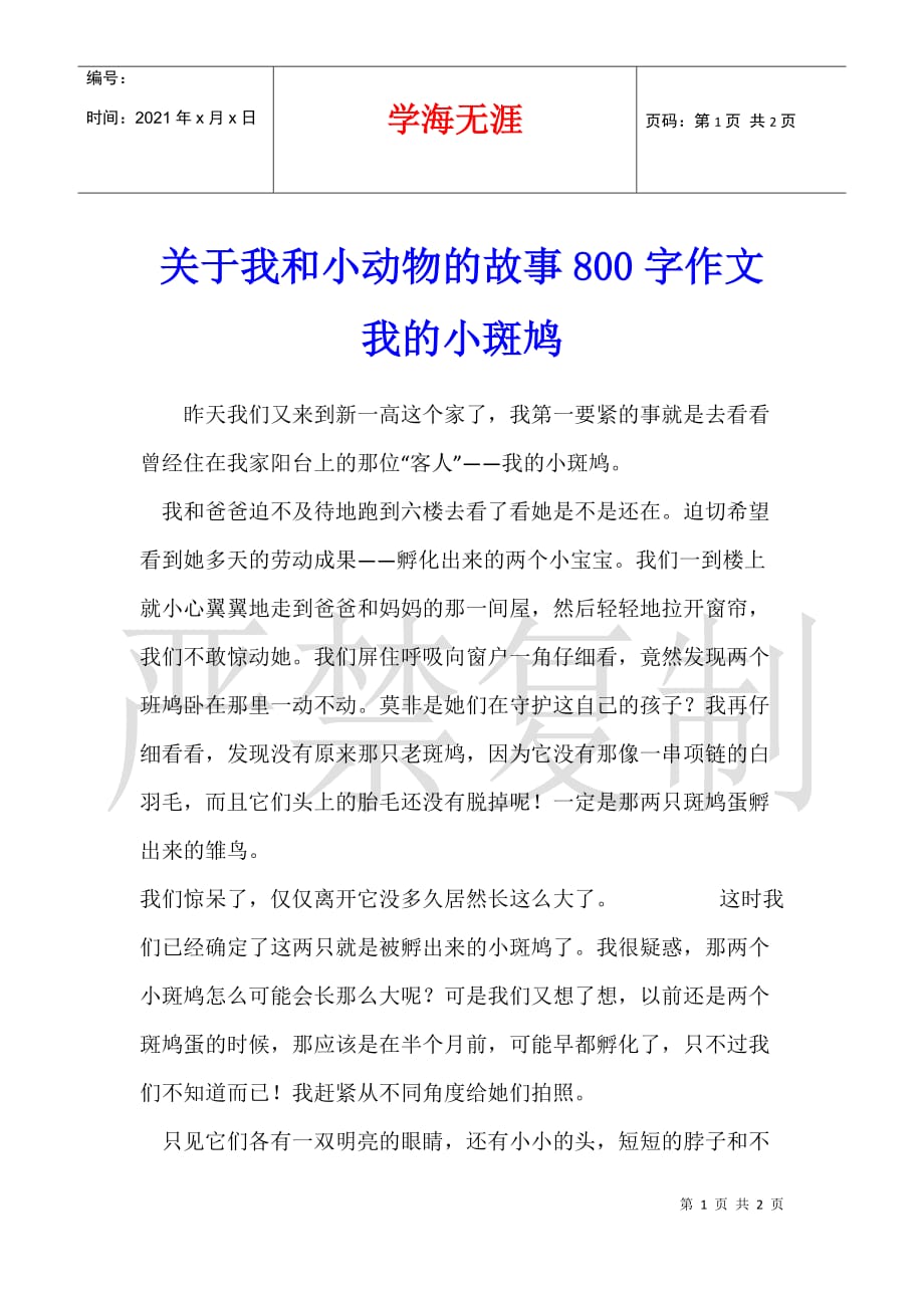 关于我和小动物的故事800字作文 我的小斑鸠_第1页