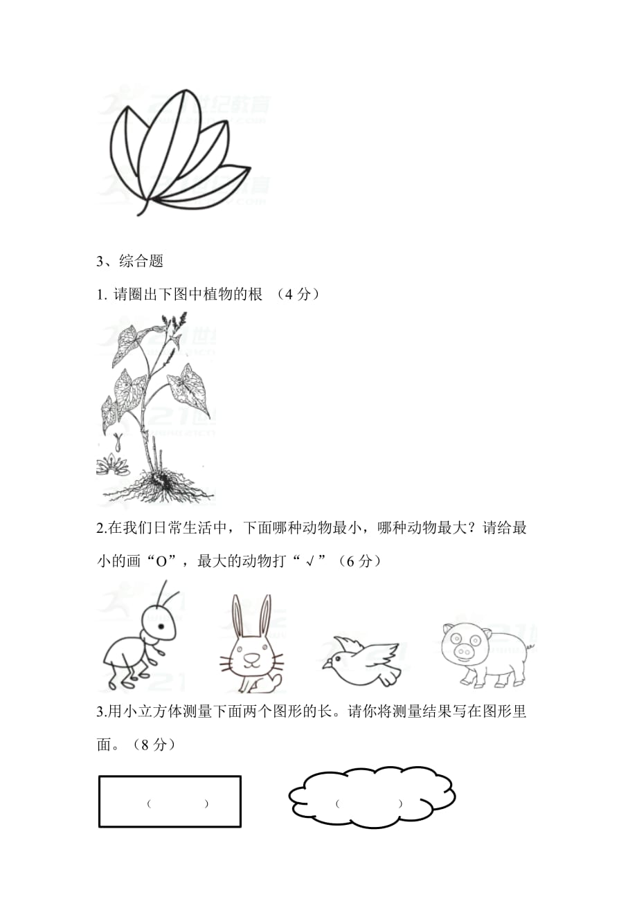 一年级上册科学期末测试试卷-教科版-有答案_第3页