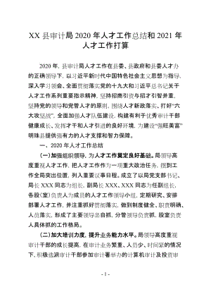 XX县审计局2020年人才工作总结和2021年人才工作打算