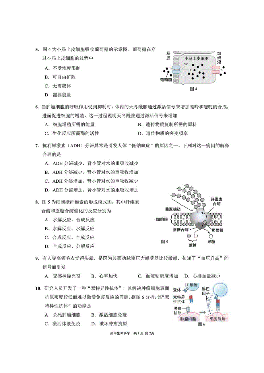 上海市崇明区2021届高三下学期4月第二次高考模拟考试(二模)生物试题含答案_第2页