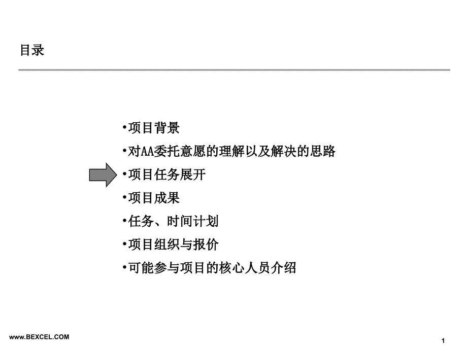 国际货运有限公司战略项目项目建议书_第2页