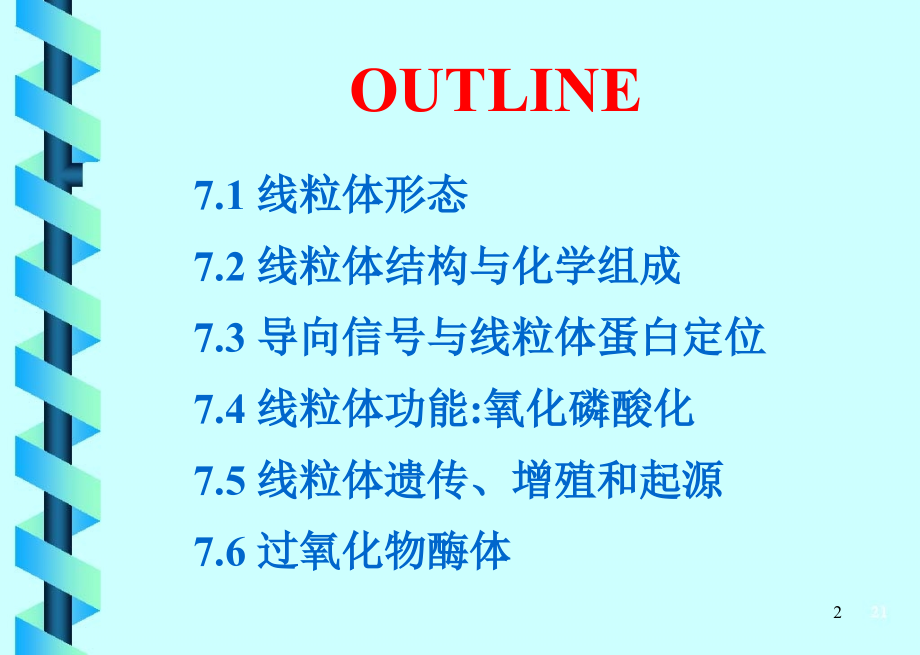 细胞生物学127-8-1第七章：线粒体与过氧化物酶体_第2页