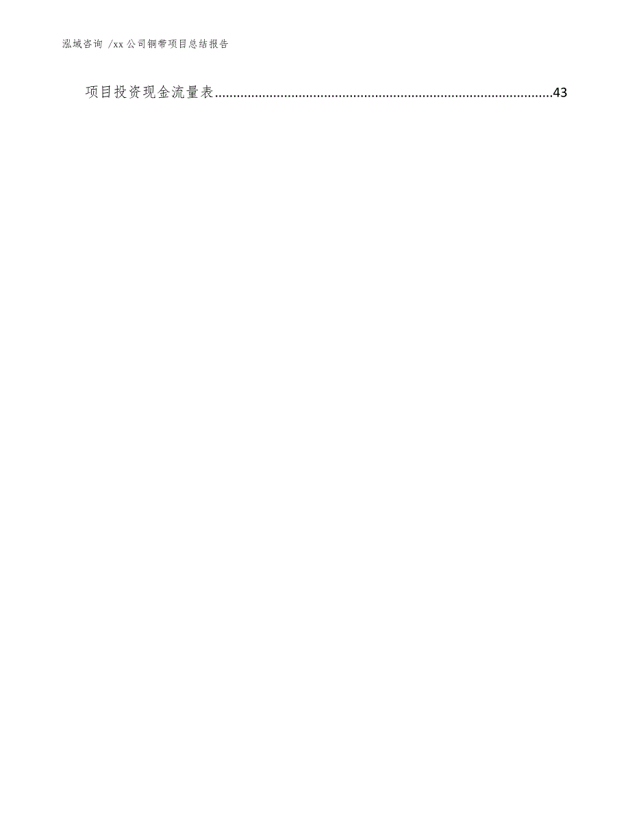 xx公司铜带项目总结报告（参考范文）_第4页