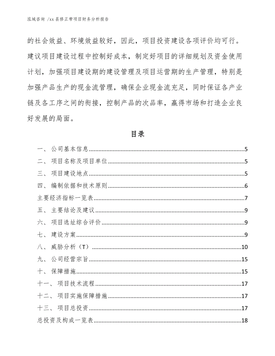 xx县修正带项目财务分析报告（模板）_第3页