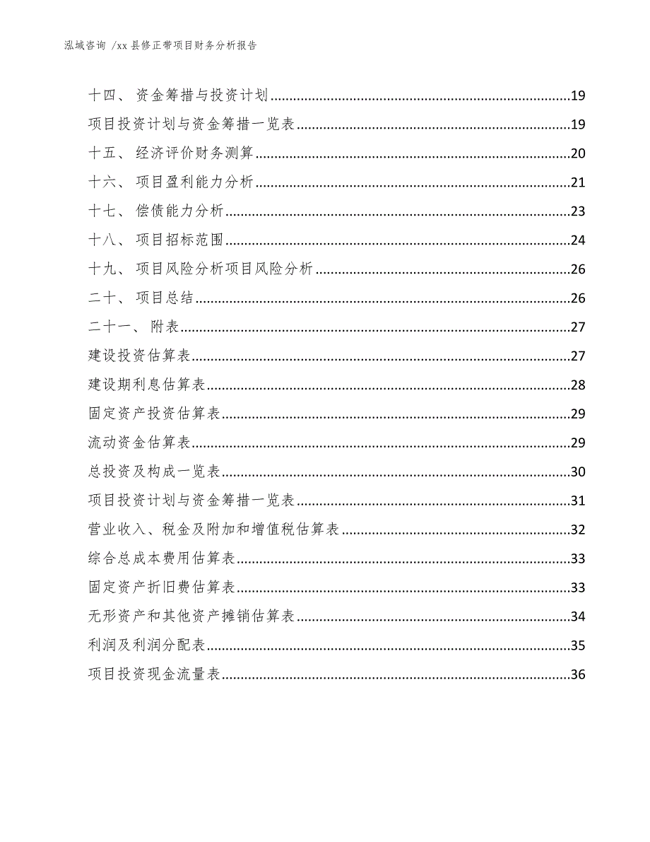 xx县修正带项目财务分析报告（模板）_第4页