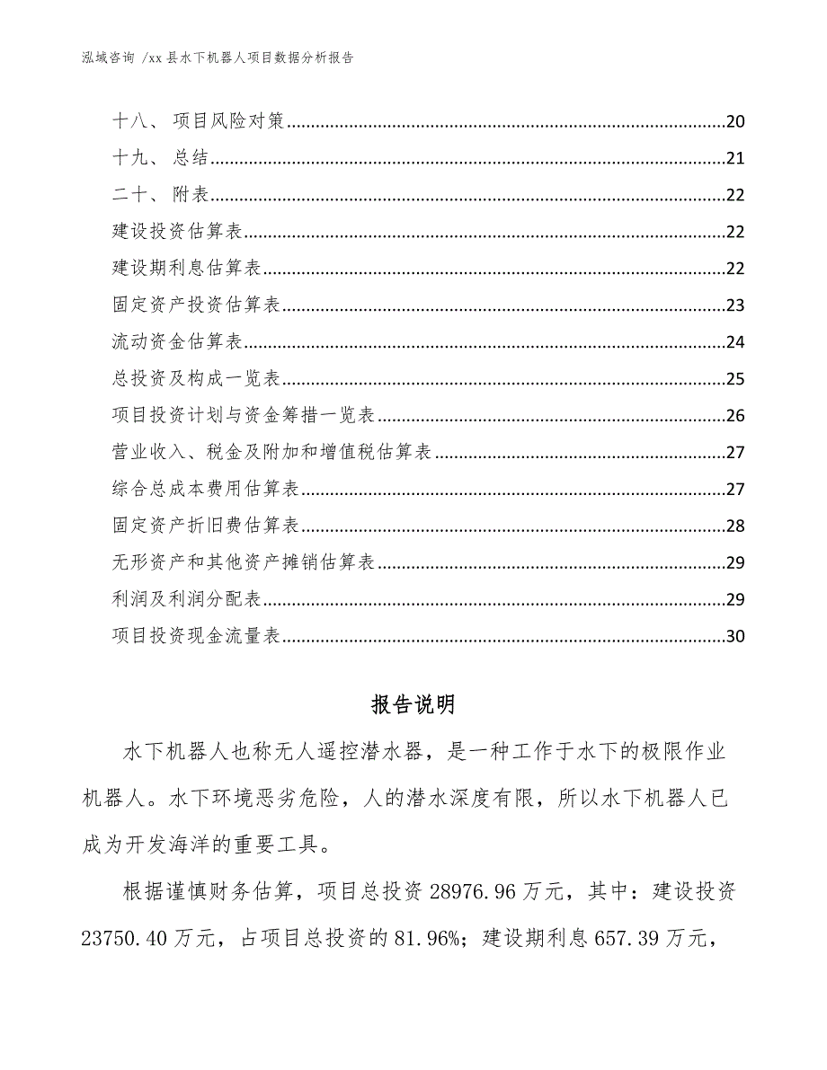 xx县水下机器人项目数据分析报告（范文模板）_第2页