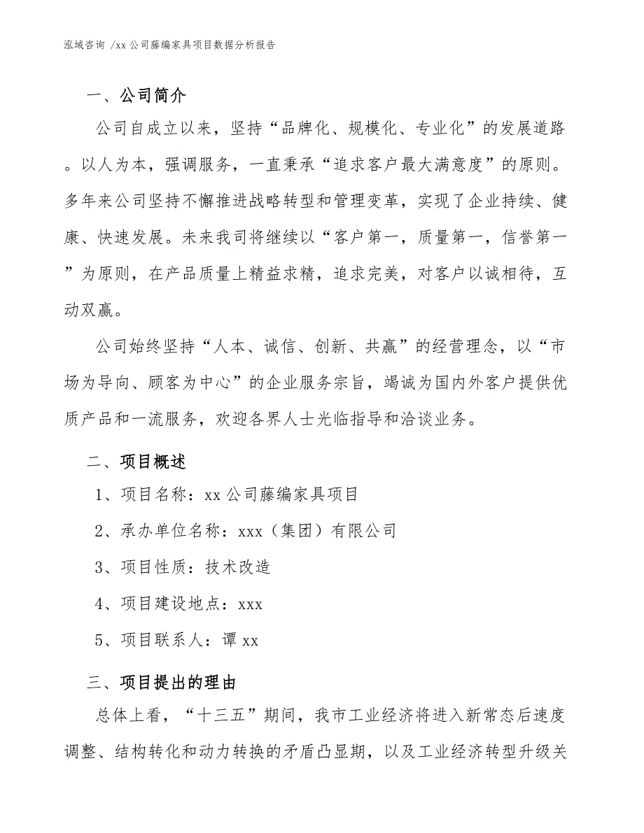 xx公司藤编家具项目数据分析报告（参考模板）_第3页