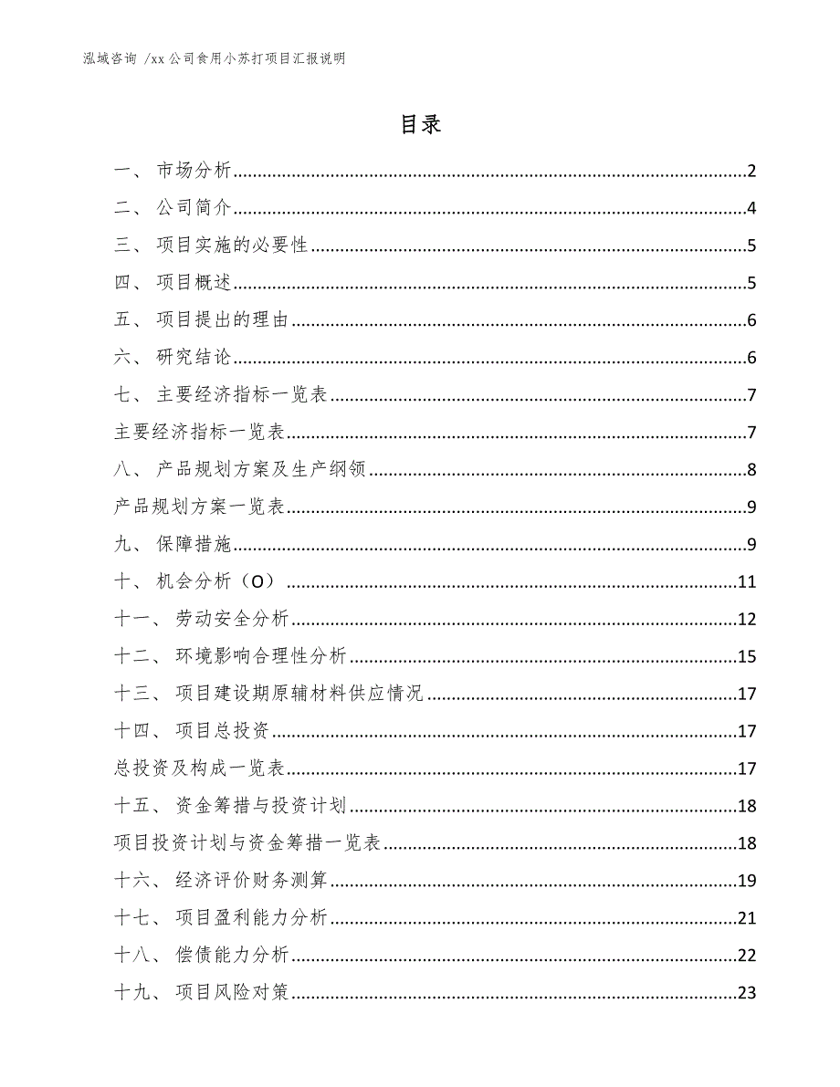 xx公司食用小苏打项目汇报说明（模板）_第1页