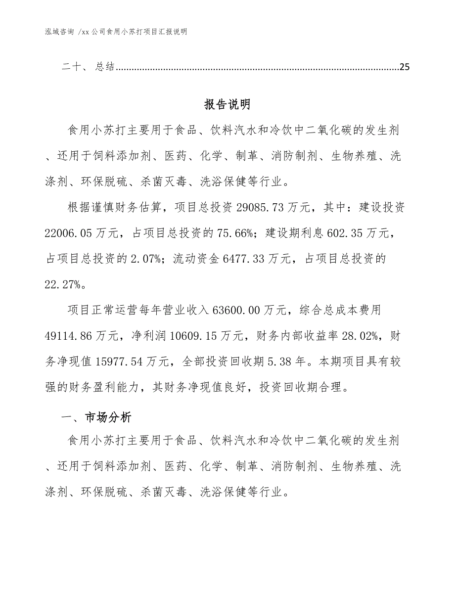 xx公司食用小苏打项目汇报说明（模板）_第2页