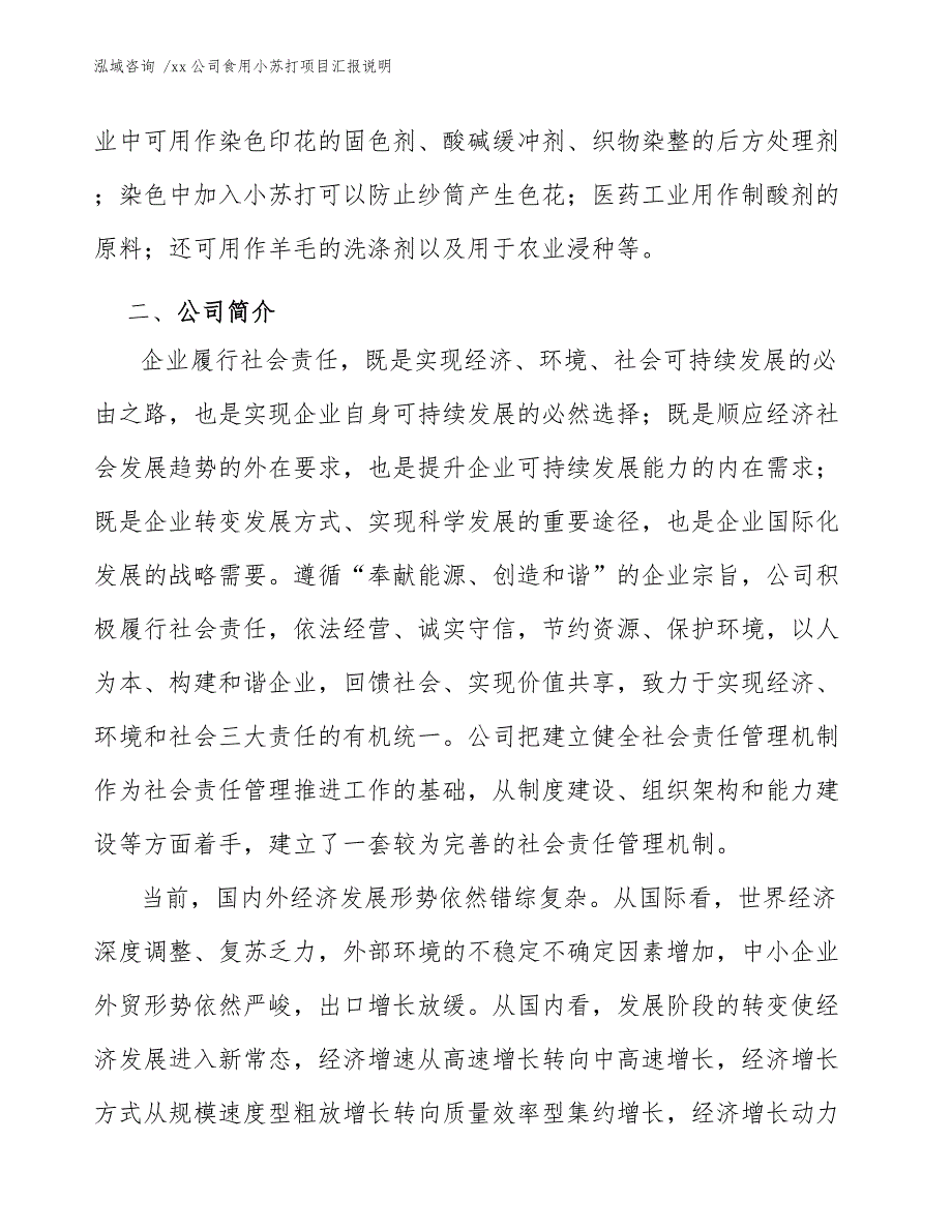 xx公司食用小苏打项目汇报说明（模板）_第4页