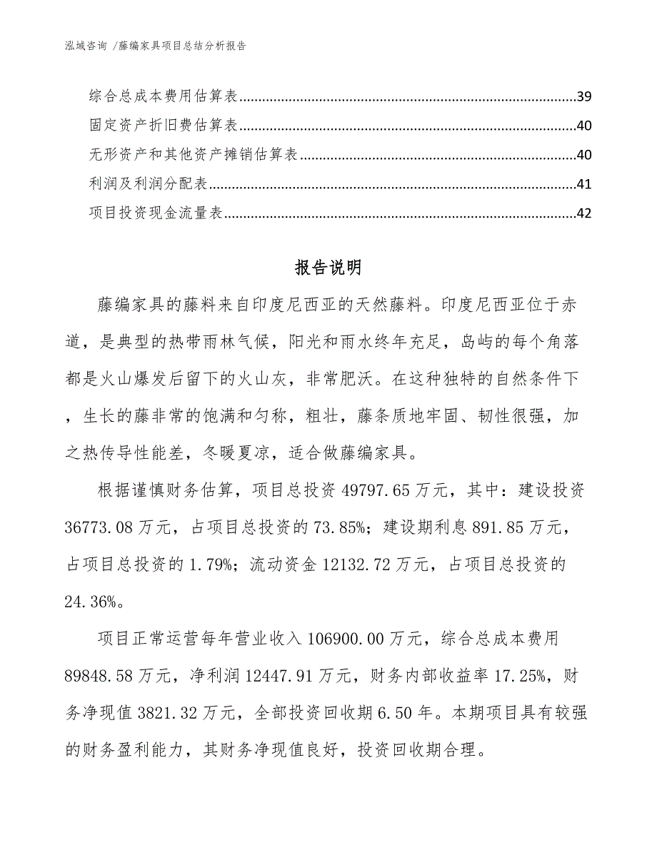 藤编家具项目总结分析报告（模板参考）_第3页